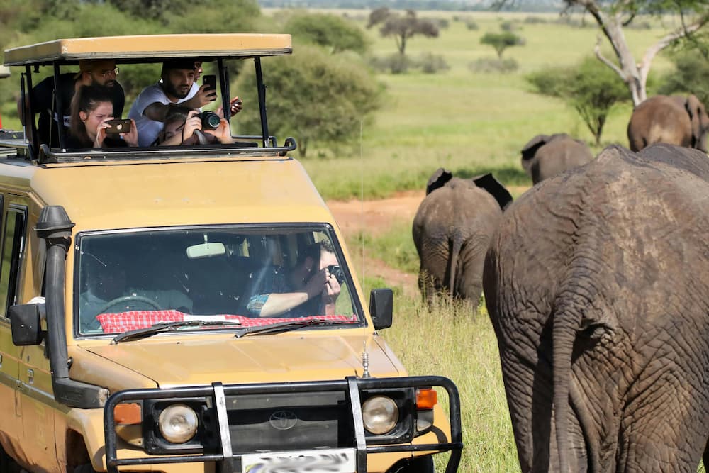 African Safari and Tours - Crake Safaris and Travel